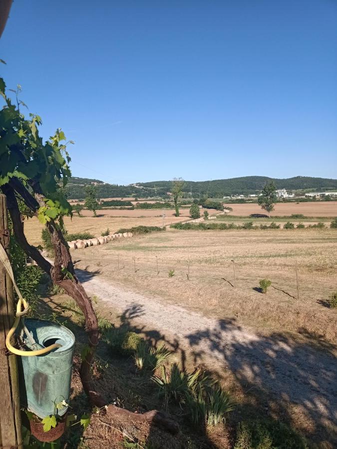 Agriturismo Podere La Selva Villa Serre Di Rapolano Buitenkant foto