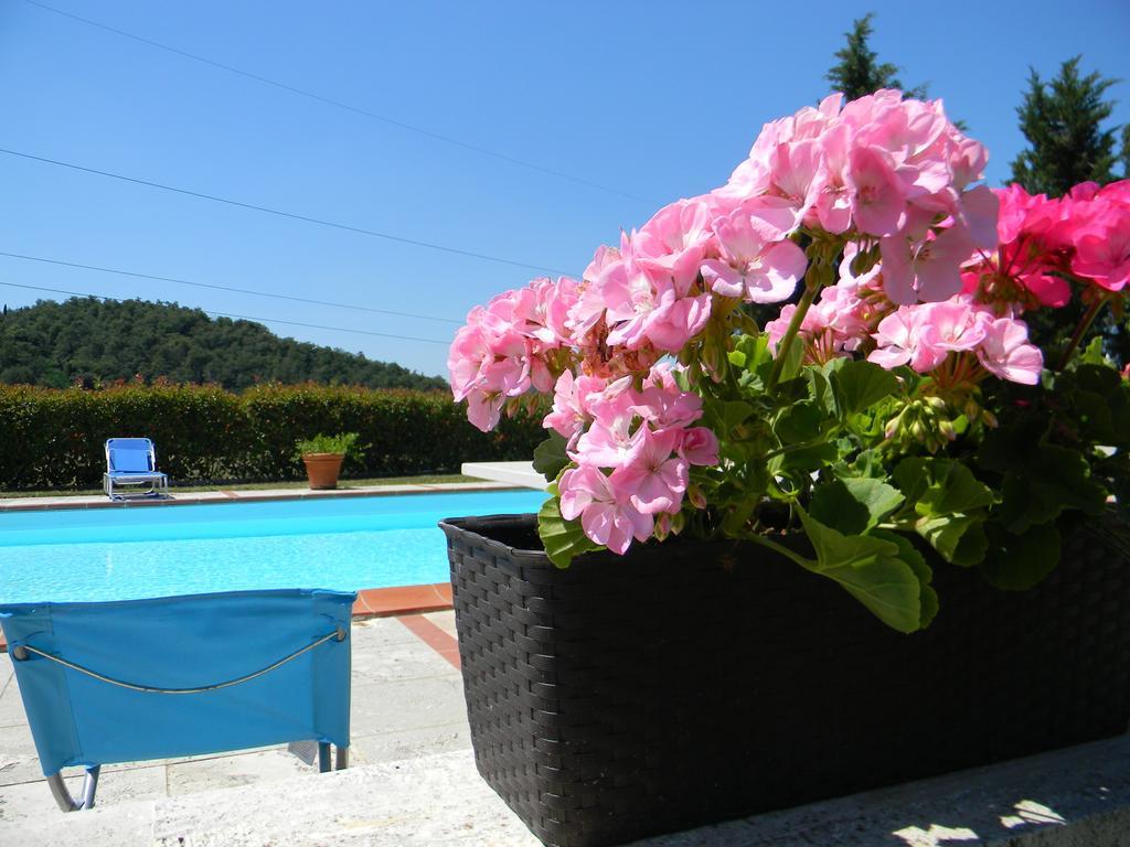 Agriturismo Podere La Selva Villa Serre Di Rapolano Buitenkant foto