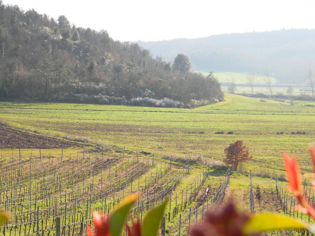 Agriturismo Podere La Selva Villa Serre Di Rapolano Buitenkant foto