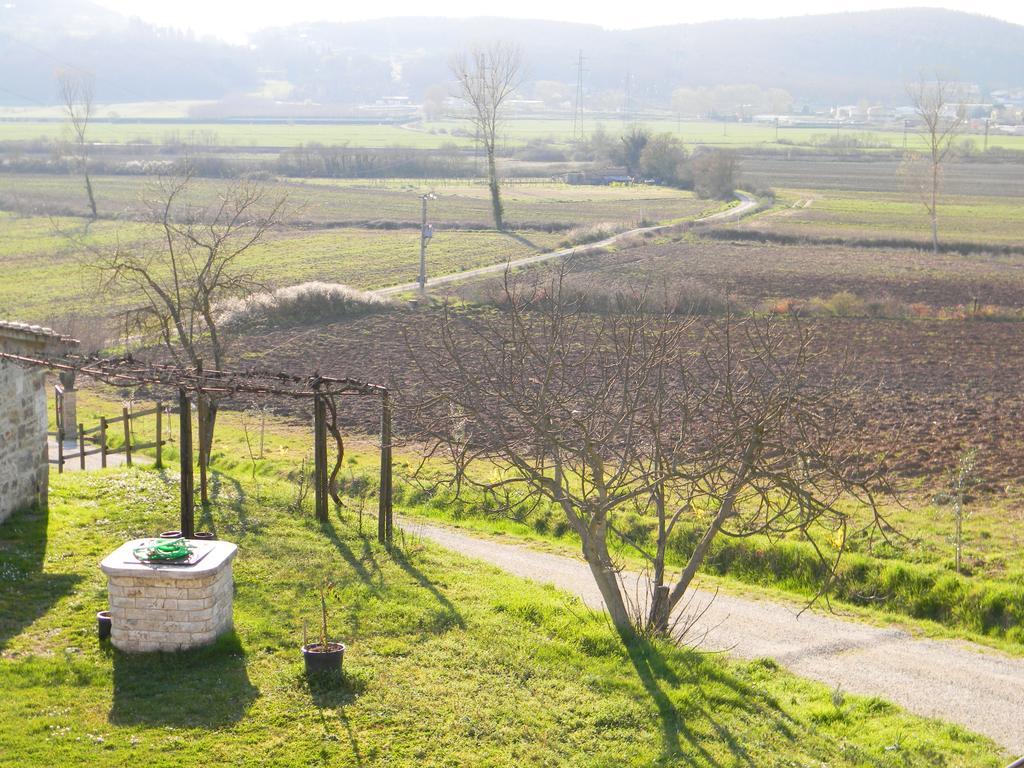 Agriturismo Podere La Selva Villa Serre Di Rapolano Buitenkant foto