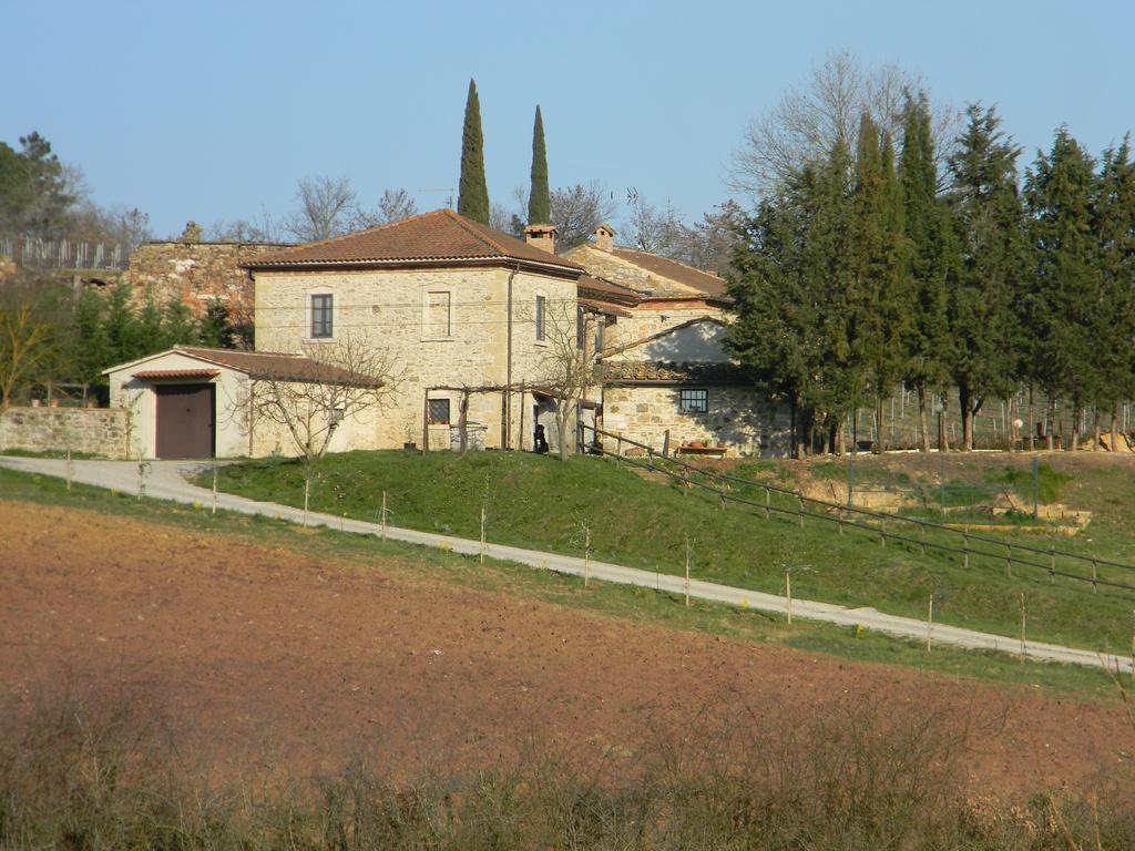 Agriturismo Podere La Selva Villa Serre Di Rapolano Buitenkant foto