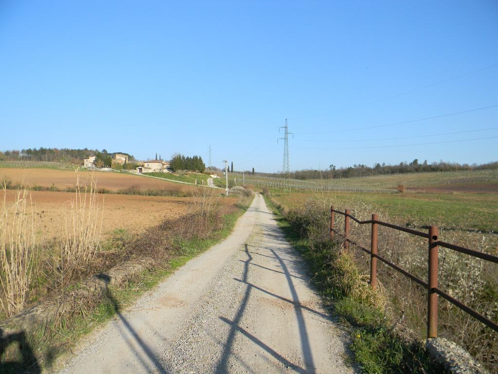 Agriturismo Podere La Selva Villa Serre Di Rapolano Buitenkant foto